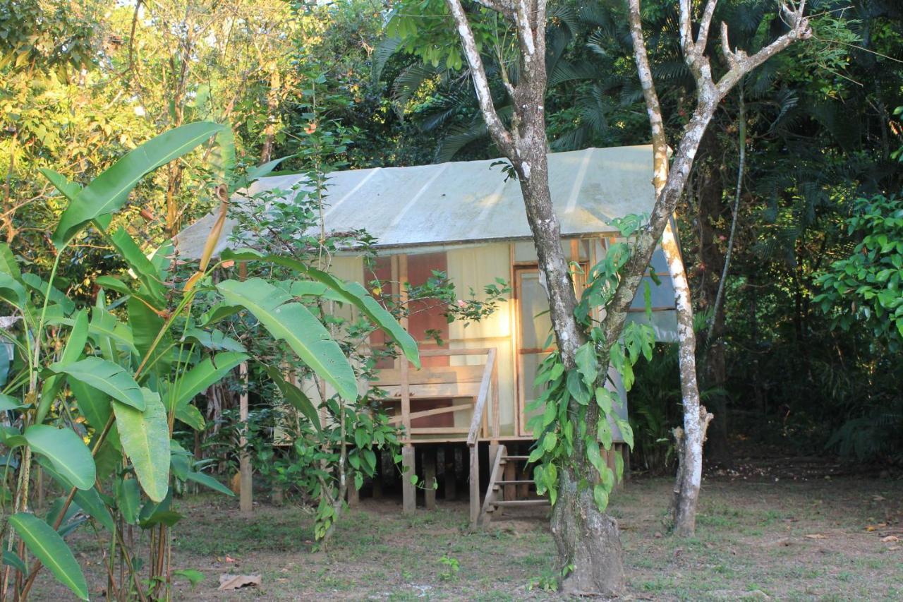 Life For Life Hostel Drake Bay Home Of Sea Turtle Marine Conservation Project Osa Peninsula Near San Josecito Beach Dış mekan fotoğraf
